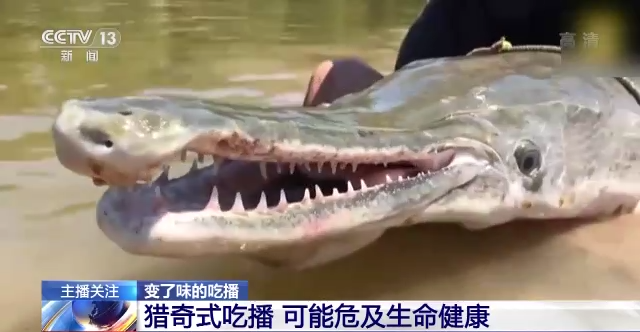 
东部战区总医院黄牛票贩子代挂号,住院检查加快流量至上催生猎奇式吃播，多管齐下如何刹住“吃奇”之风？