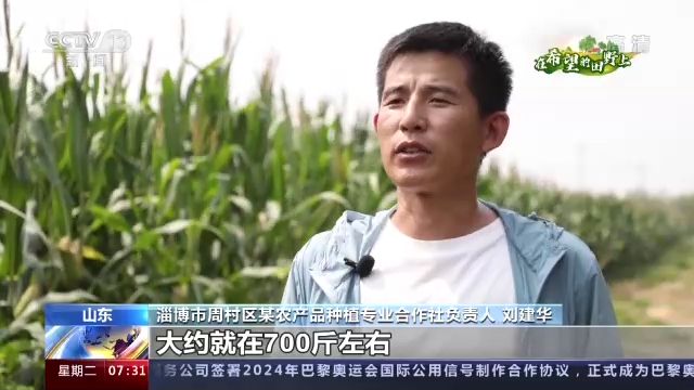
北京大学第一医院黄牛电话,住院检查加快在希望的田野上丨农业农村部：全国大部地区秋粮长势较好