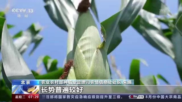 
北京大学第一医院黄牛电话,住院检查加快在希望的田野上丨农业农村部：全国大部地区秋粮长势较好