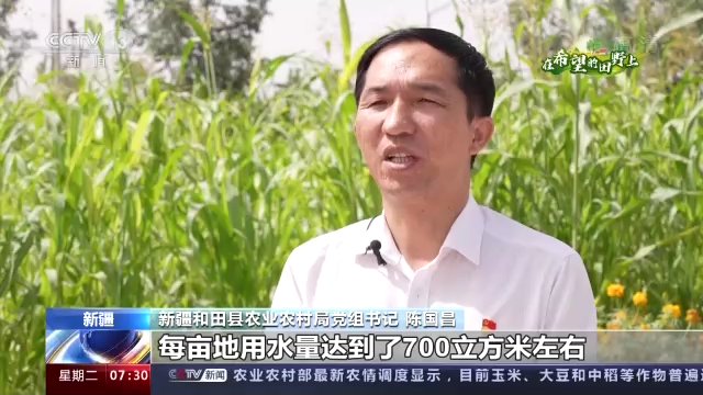 
北京大学第一医院黄牛电话,住院检查加快在希望的田野上丨农业农村部：全国大部地区秋粮长势较好