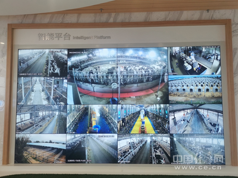 
江苏省人民医院黄牛挂号,住院检查加快【稳中求进@高质量发展】祖国正北方 “绿色”进行时