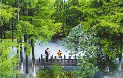 
北医三院黄牛挂号电话,住院检查加快这个中秋，来一场“微度假”