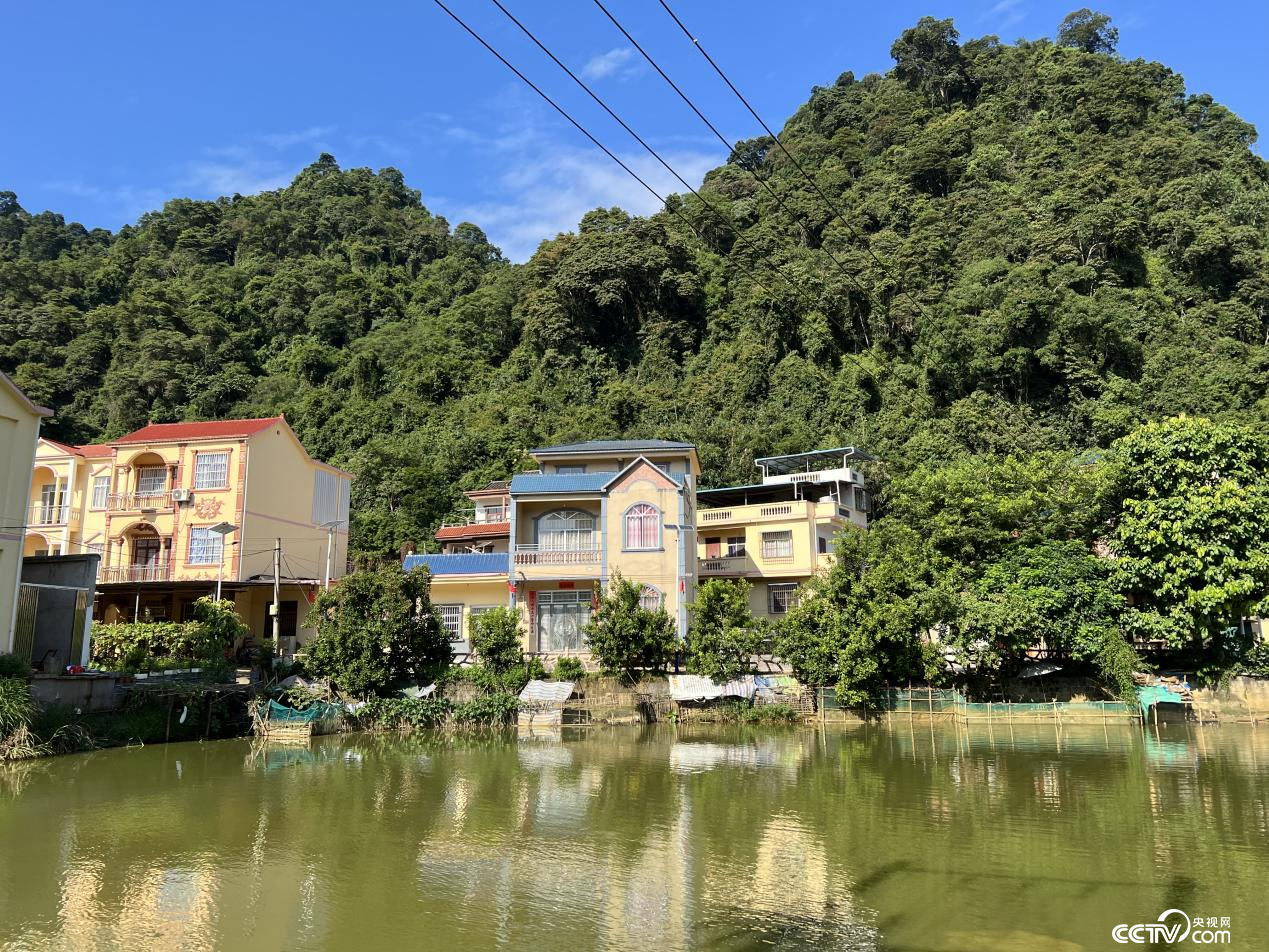 
上海瑞金医院黄牛挂号,住院检查加快【民族团结党旗红】壮大守边固边“红色力量” 龙州县布局村党建引领布新局
