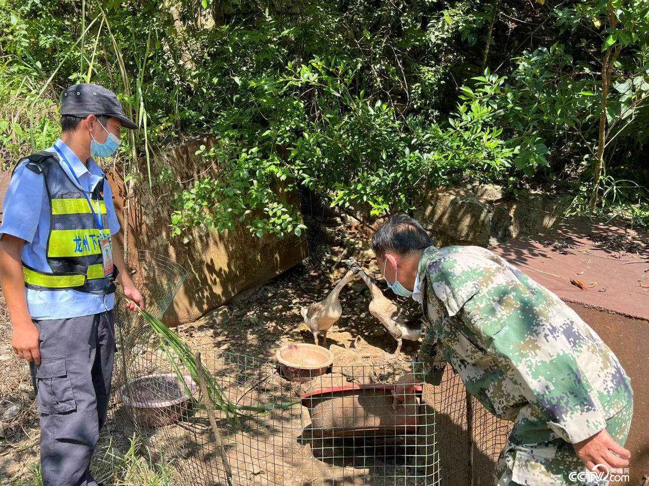 
上海瑞金医院黄牛挂号,住院检查加快【民族团结党旗红】壮大守边固边“红色力量” 龙州县布局村党建引领布新局