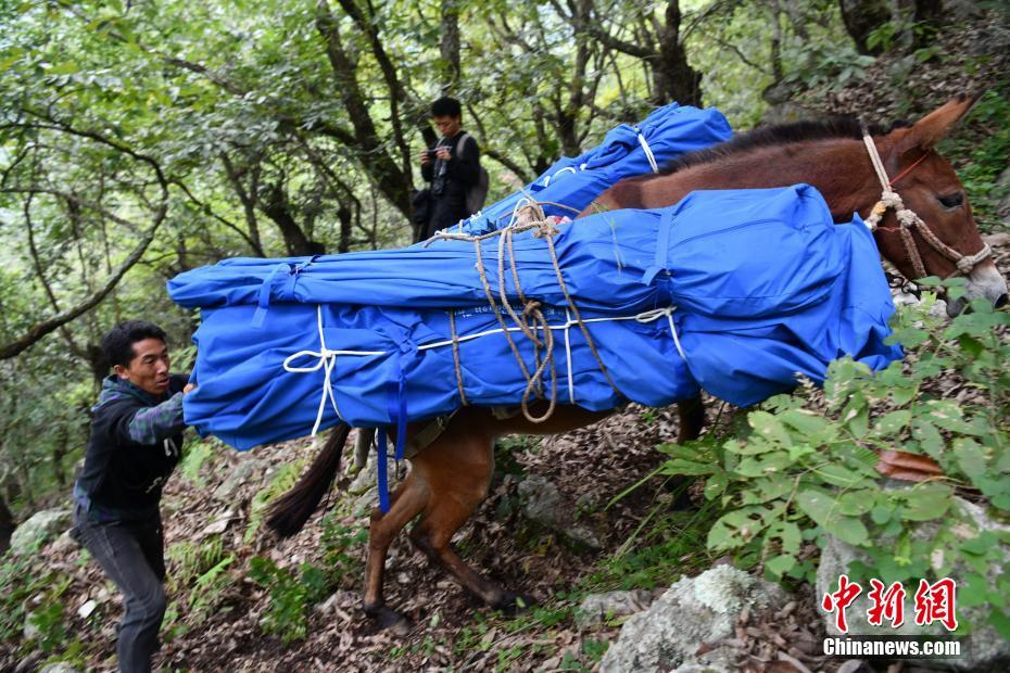 
广州中医院黄牛网上预约挂号,住院检查加快泸定地震72小时后，上万救援人员仍在争分夺秒