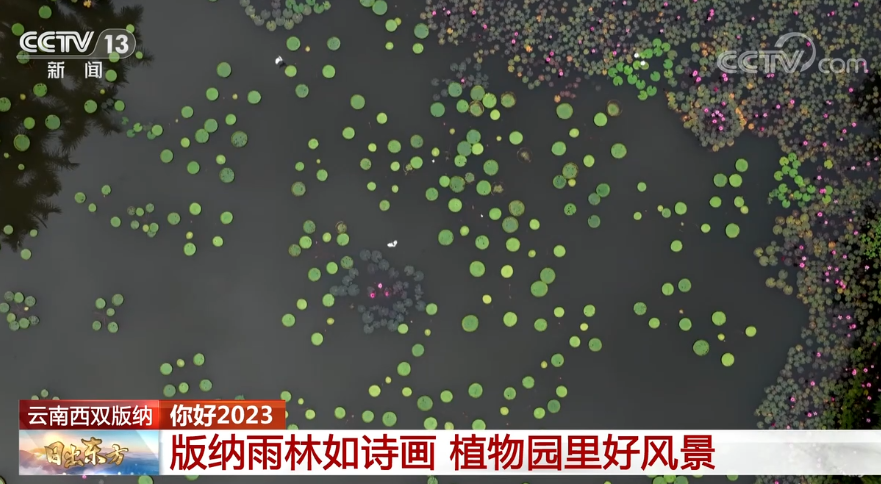 
上海第九人民医院黄牛代挂号电话票贩子号贩子网上预约挂号,住院检查加快,来看充满生机活力的中国 旭日东升、气象万千、美不胜收