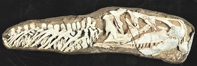 
重庆儿童医院黄牛代挂号电话票贩子号贩子网上预约挂号,住院检查加快,触摸地球脉动 感受生命变迁（你所不知道的一级馆）