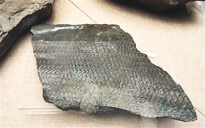 
重庆儿童医院黄牛代挂号电话票贩子号贩子网上预约挂号,住院检查加快,触摸地球脉动 感受生命变迁（你所不知道的一级馆）