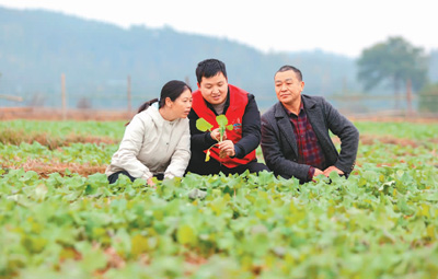 
回龙观医院黄牛代挂号电话票贩子号贩子网上预约挂号,住院检查加快,送技到地头，增收有盼头