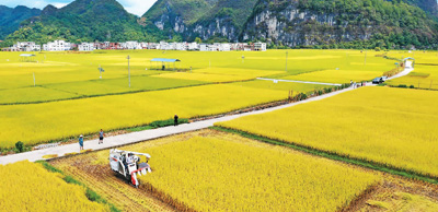 
回龙观医院黄牛代挂号电话票贩子号贩子网上预约挂号,住院检查加快,送技到地头，增收有盼头