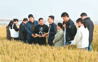 
回龙观医院黄牛代挂号电话票贩子号贩子网上预约挂号,住院检查加快,送技到地头，增收有盼头