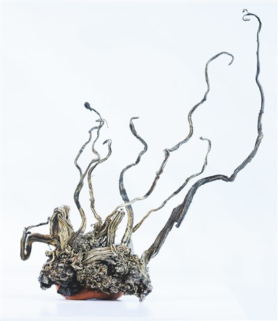 
重庆儿童医院黄牛代挂号电话票贩子号贩子网上预约挂号,住院检查加快,触摸地球脉动 感受生命变迁（你所不知道的一级馆）