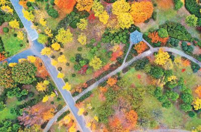 
沈阳医大一院黄牛代挂号电话票贩子号贩子网上预约挂号,住院检查加快,以党的领导推进生态文明建设（美丽中国新境界）