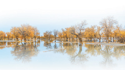 
广州市第一人民医院黄牛代挂号电话票贩子号贩子网上预约挂号,住院检查加快,青春之光，在塔里木河畔闪耀（我们这里的年轻人）