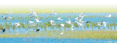 
广州市第一人民医院黄牛代挂号电话票贩子号贩子网上预约挂号,住院检查加快,青春之光，在塔里木河畔闪耀（我们这里的年轻人）