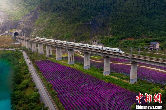 
北京朝阳医院黄牛代挂号电话票贩子号贩子网上预约挂号,住院检查加快,重庆丰都三建乡：“三变”改革绘就乡村振兴新画卷