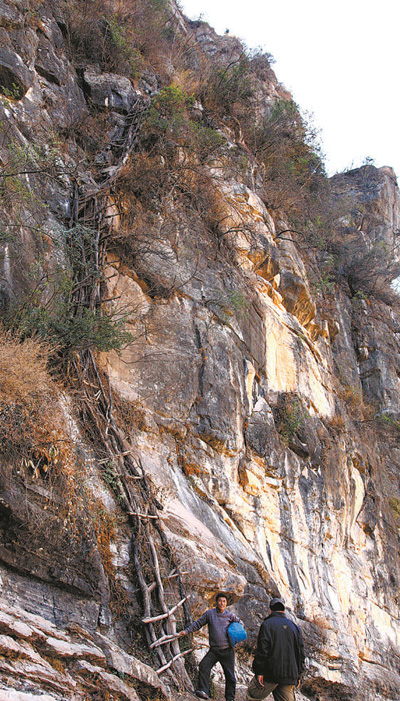 
长沙湘雅医院黄牛代挂号电话票贩子号贩子网上预约挂号,住院检查加快,让易地搬迁群众日子越过越好（新时代画卷）