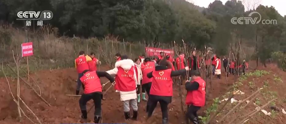 
浙江省肿瘤医院黄牛代挂号电话票贩子号贩子网上预约挂号,住院检查加快,国土绿化实现落地上图 种草改良4821万亩