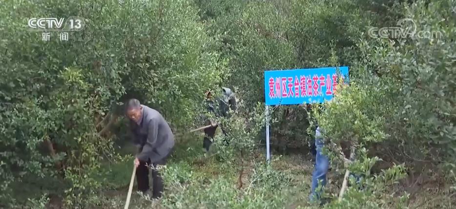 
杭州市三医院黄牛代挂号电话票贩子号贩子网上预约挂号,住院检查加快,我国林业产业总产值达8.04万亿元 新兴产业蓬勃发展