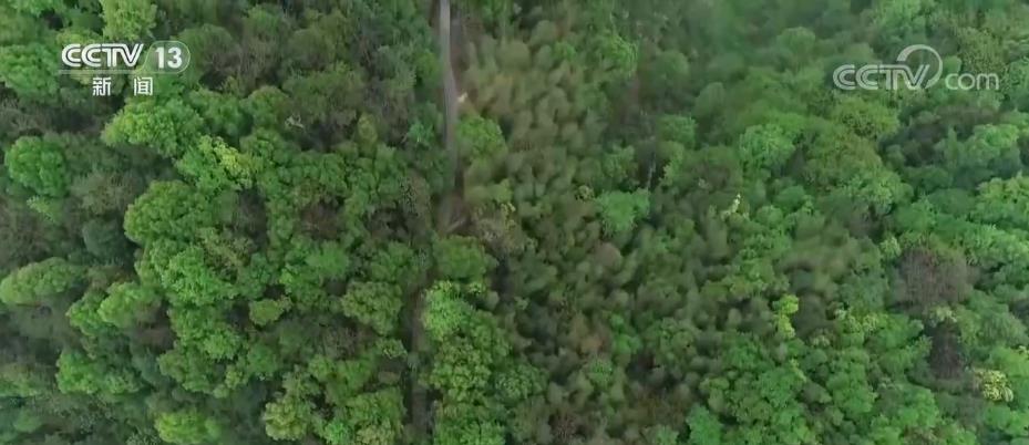 
浙江省肿瘤医院黄牛代挂号电话票贩子号贩子网上预约挂号,住院检查加快,国土绿化实现落地上图 种草改良4821万亩