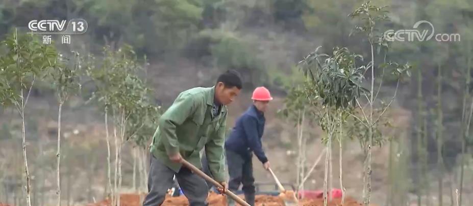 
浙江省肿瘤医院黄牛代挂号电话票贩子号贩子网上预约挂号,住院检查加快,国土绿化实现落地上图 种草改良4821万亩