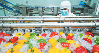 
中山大学肿瘤医院黄牛代挂号电话票贩子号贩子网上预约挂号,住院检查加快,做大做强农产品加工业（新时代画卷）