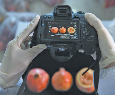 
中山大学肿瘤医院黄牛代挂号电话票贩子号贩子网上预约挂号,住院检查加快,做大做强农产品加工业（新时代画卷）