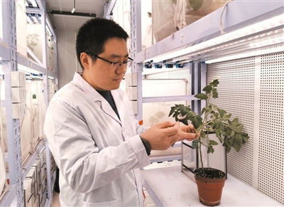 
中国医学科学院肿瘤医院黄牛代挂号电话票贩子号贩子网上预约挂号,住院检查加快,用心“刨地”收获一流研究成果（科技视点·科技自立自强 青年奋勇担当⑥）