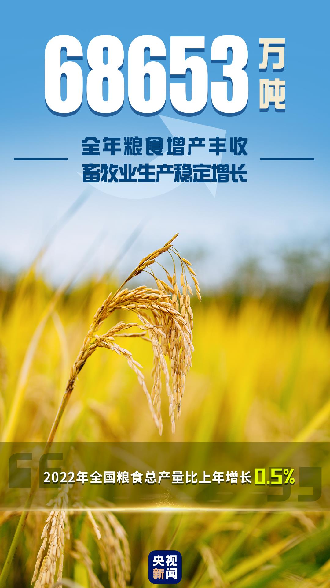 北京协和医院黄牛代挂号电话票贩子号贩子网上预约挂号,住院检查加快,稳！一组数据回看2022年中国经济