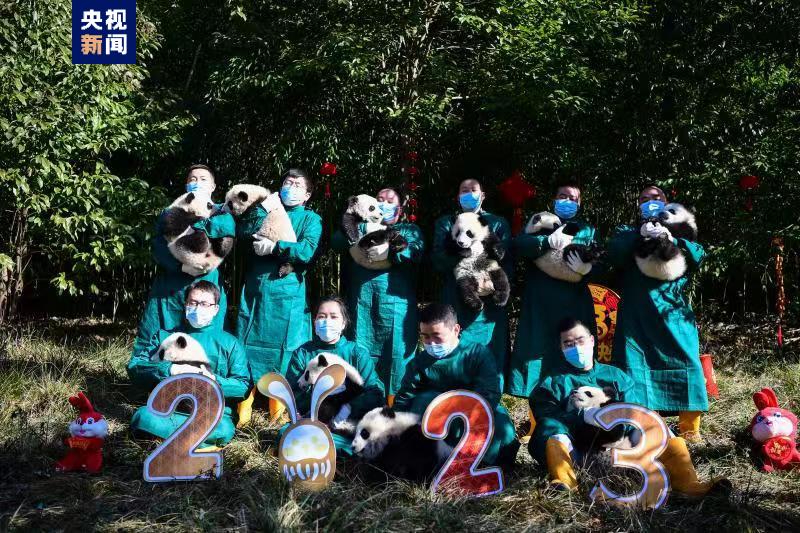 
广州医科大学附属第二医院黄牛代挂号电话票贩子号贩子网上预约挂号,住院检查加快,最萌新春祝福来了！熊猫中心2022级熊猫宝宝亮相贺新春