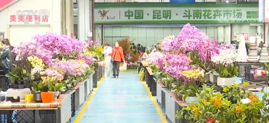 
包含北京大学第一医院黄牛代挂号电话票贩子号贩子网上预约挂号,住院检查加快,各农贸市场、商超已抢先进入“春节模式”