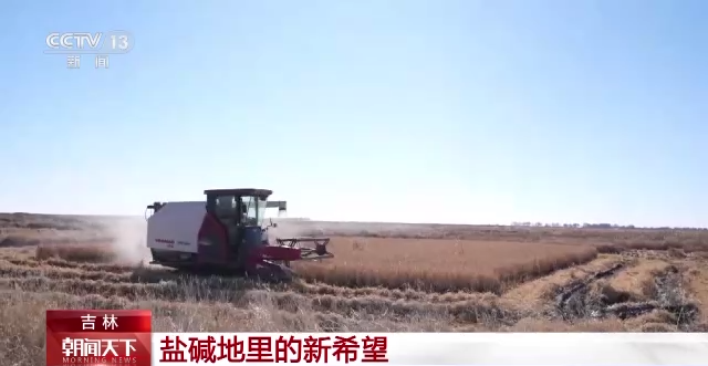 
广东省人民医院黄牛代挂号电话票贩子号贩子网上预约挂号,住院检查加快,在盐碱地上种粮食是什么体验？这位“新农人”有话说