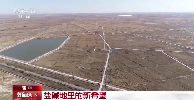 
广东省人民医院黄牛代挂号电话票贩子号贩子网上预约挂号,住院检查加快,在盐碱地上种粮食是什么体验？这位“新农人”有话说