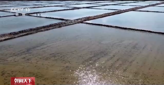 
广东省人民医院黄牛代挂号电话票贩子号贩子网上预约挂号,住院检查加快,在盐碱地上种粮食是什么体验？这位“新农人”有话说