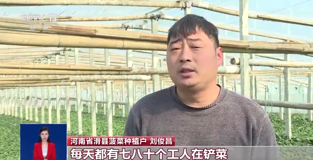 
北京肿瘤医院黄牛代挂号电话票贩子号贩子网上预约挂号,住院检查加快,丰富“米袋子”“菜篮子” 农业农村部：四项举措稳产保供稳价