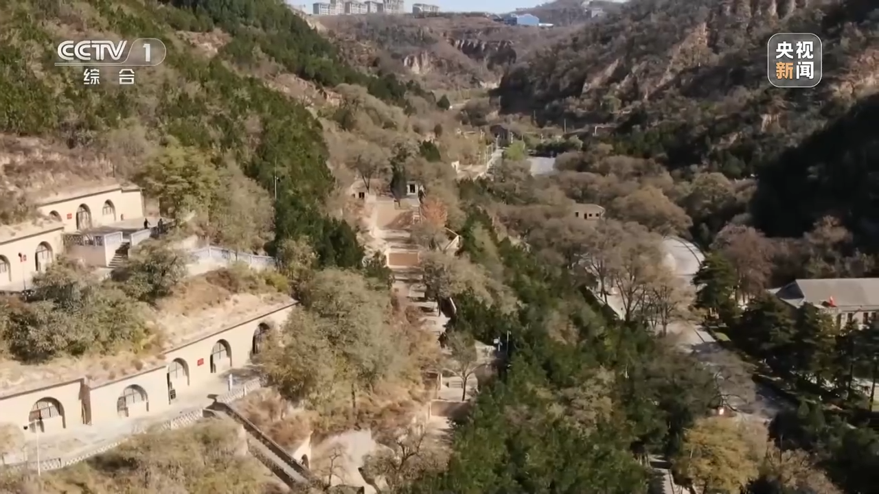 
浙江省肿瘤医院黄牛代挂号电话票贩子号贩子网上预约挂号,住院检查加快,焦点访谈丨奋斗创造奇迹 力量源于团结