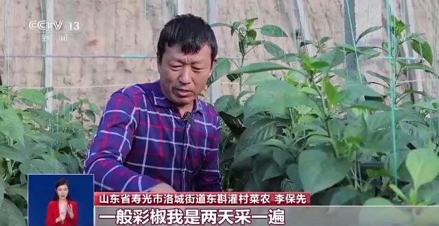 
北京肿瘤医院黄牛代挂号电话票贩子号贩子网上预约挂号,住院检查加快,丰富“米袋子”“菜篮子” 农业农村部：四项举措稳产保供稳价