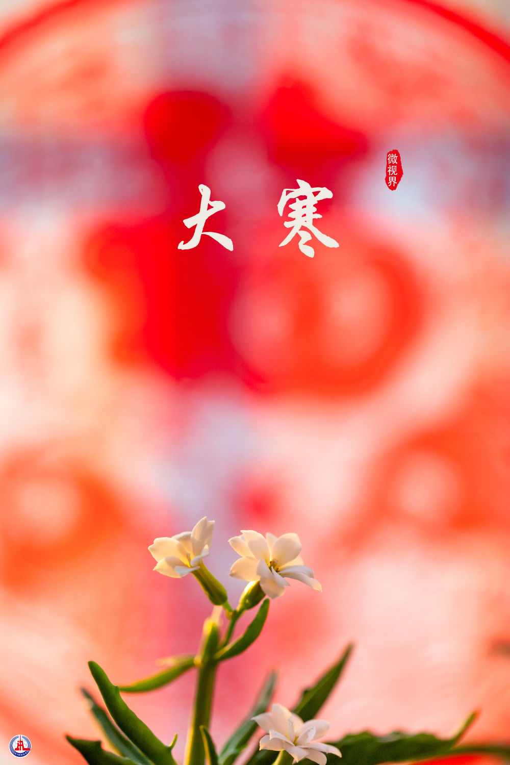 
中山一院黄牛代挂号电话票贩子号贩子网上预约挂号,住院检查加快,微视界 | 大寒：寒气逆极时 温暖团圆日