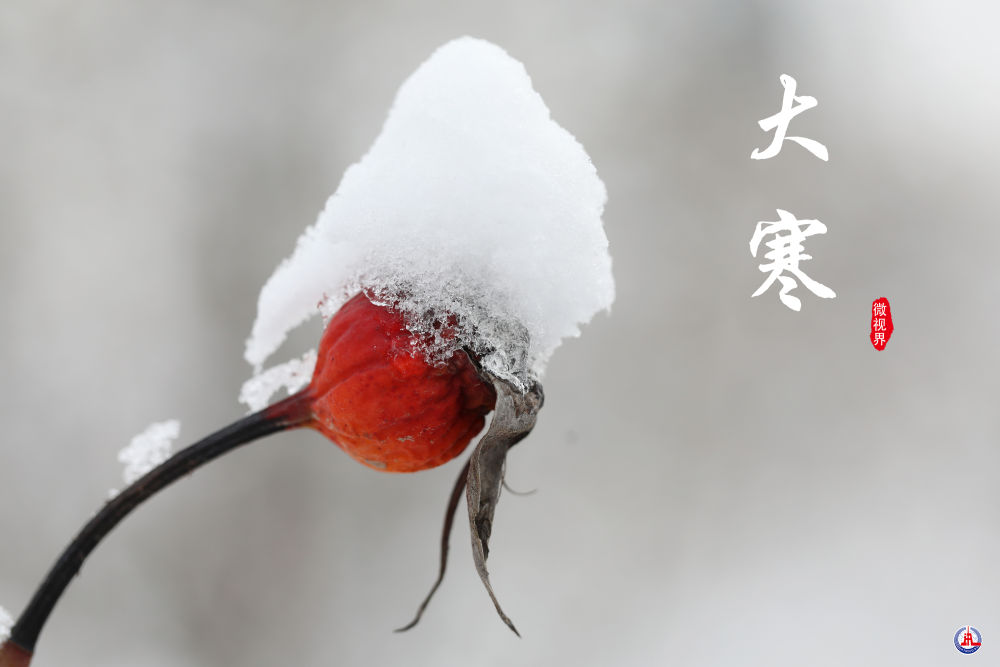 
中山一院黄牛代挂号电话票贩子号贩子网上预约挂号,住院检查加快,微视界 | 大寒：寒气逆极时 温暖团圆日
