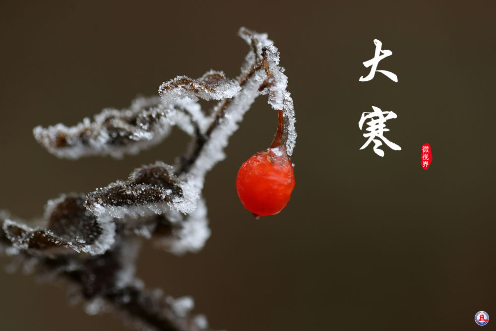 
中山一院黄牛代挂号电话票贩子号贩子网上预约挂号,住院检查加快,微视界 | 大寒：寒气逆极时 温暖团圆日