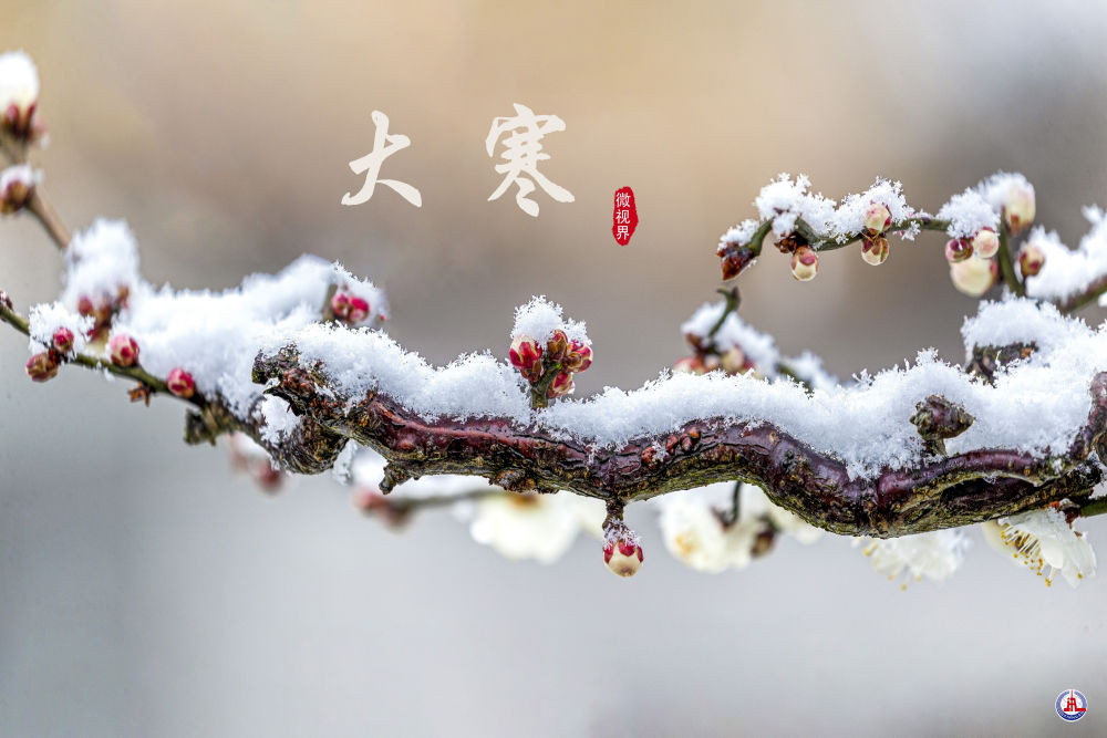 
中山一院黄牛代挂号电话票贩子号贩子网上预约挂号,住院检查加快,微视界 | 大寒：寒气逆极时 温暖团圆日