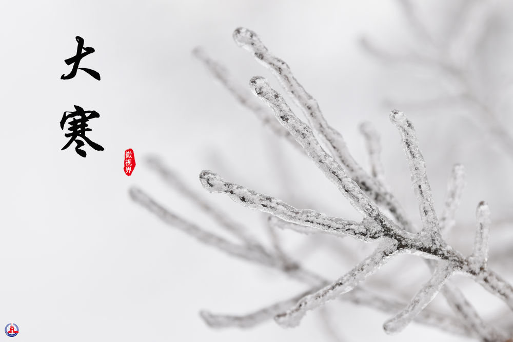 
中山一院黄牛代挂号电话票贩子号贩子网上预约挂号,住院检查加快,微视界 | 大寒：寒气逆极时 温暖团圆日