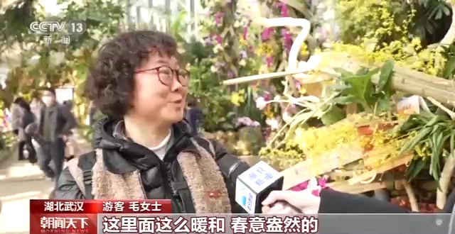 
天津肿瘤医院黄牛代挂号电话票贩子号贩子网上预约挂号,住院检查加快,各地“年味”大餐迎新春 热门旅游景点游客明显增多