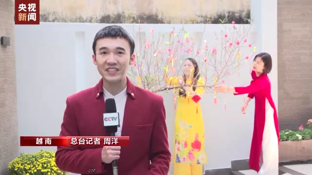 
北京安定医院黄牛代挂号电话票贩子号贩子网上预约挂号,住院检查加快,桃花争艳春意闹 新衣鲜粽 越南年味浓