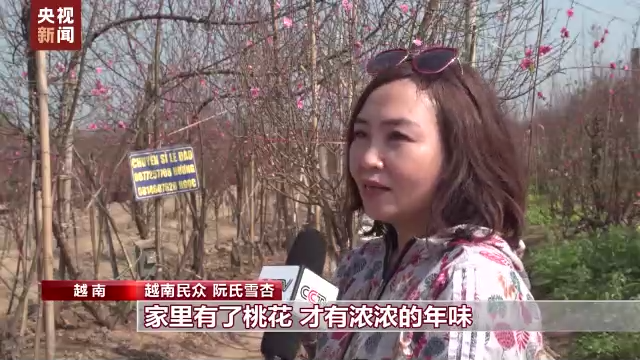 
北京安定医院黄牛代挂号电话票贩子号贩子网上预约挂号,住院检查加快,桃花争艳春意闹 新衣鲜粽 越南年味浓