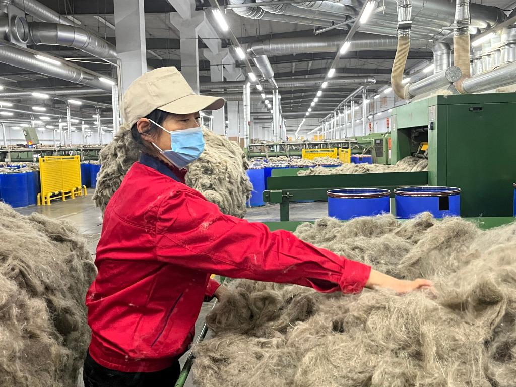 
杭州市第一人民医院黄牛代挂号电话票贩子号贩子网上预约挂号,住院检查加快,童相珍：理顺“乱麻”的能手