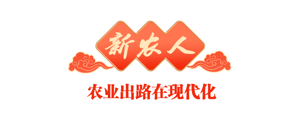 
北大医院黄牛代挂号电话票贩子号贩子网上预约挂号,住院检查加快,稳稳的幸福年丨在各行各业竞展风流
