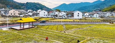
上海华山医院黄牛代挂号电话票贩子号贩子网上预约挂号,住院检查加快,人勤春来早 农业生产忙（新时代画卷）