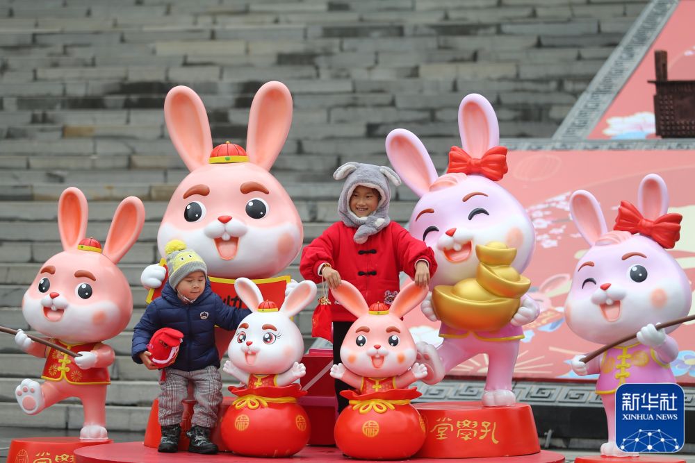 
杭州各大医院黄牛代挂号电话票贩子号贩子网上预约挂号,住院检查加快,镜头里的中国年：兔年拍“兔”