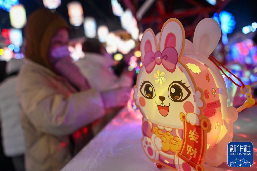 
杭州各大医院黄牛代挂号电话票贩子号贩子网上预约挂号,住院检查加快,镜头里的中国年：兔年拍“兔”